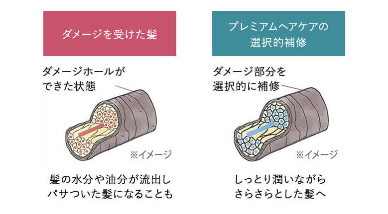 ボタニストプレミアム　ダメージ補修