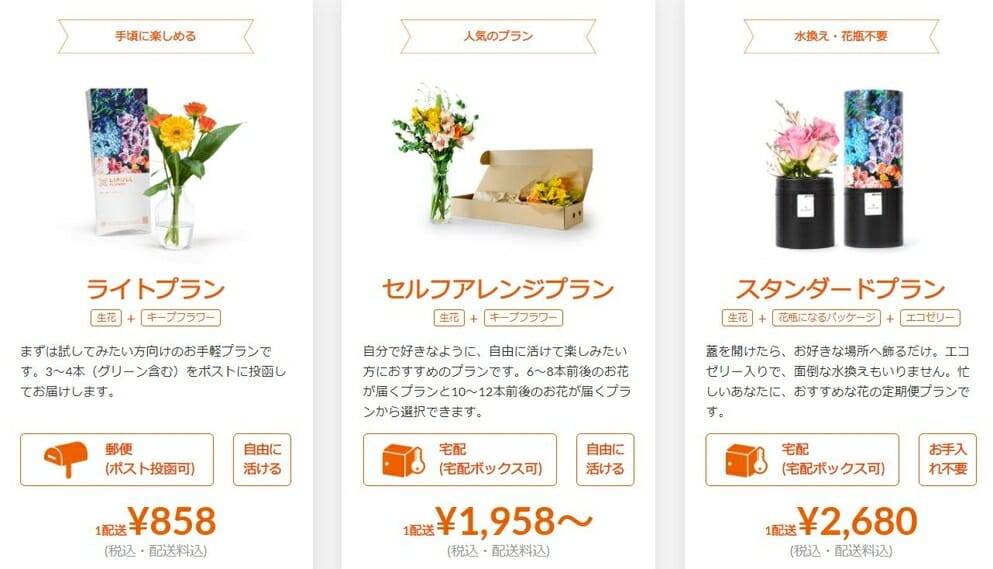 ライフルフラワー　料金プラン