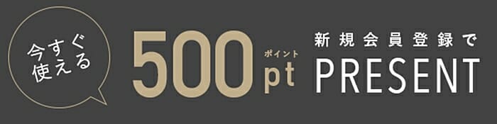 ピエール・ラニエ（Pierre Lannier）新規会員登録 500円分ポイントプレゼント